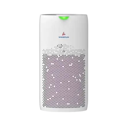 Wozoyo Pure Air PA5